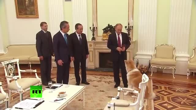 The president of the Russian Federation loves dogs