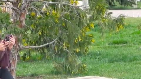 Touching prank