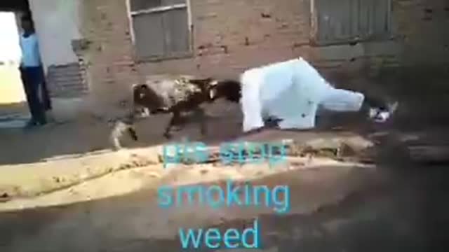 Smoking weed is bad bro