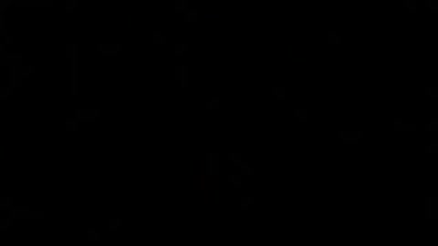 Donald Trump Calls Meda See Her Reaction!