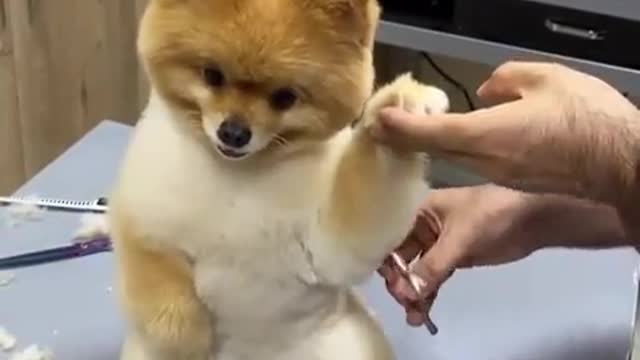 SO cute animals
