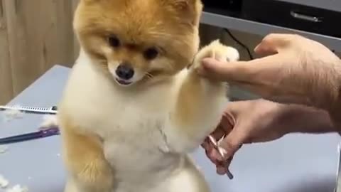 SO cute animals