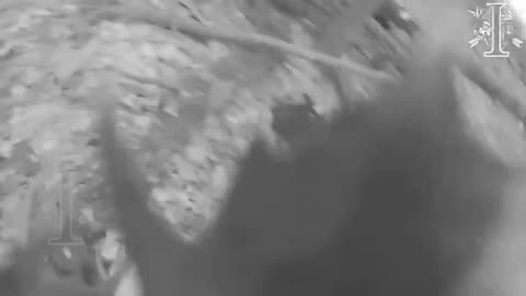 Incredible Firefights From Ukrainian Special Forces in Kursk Overnight