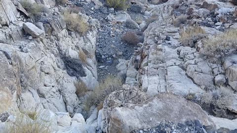 Shadow Mountain - Peak 2, Pahrump, NV 89060 - 20240924T173030
