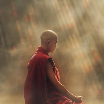 "Rise Stronger: Your Struggles Are the Seeds of Success"