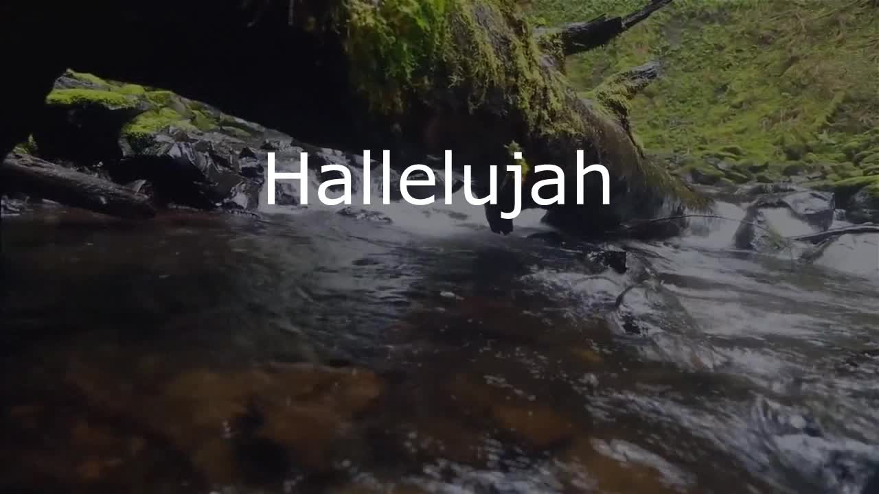 Hallelujah