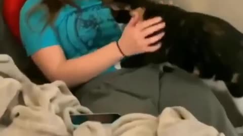 MY GIRL CAN COMMUNICATE WITH CAT