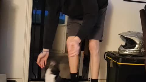 Dog is so excited to see hoomam brother