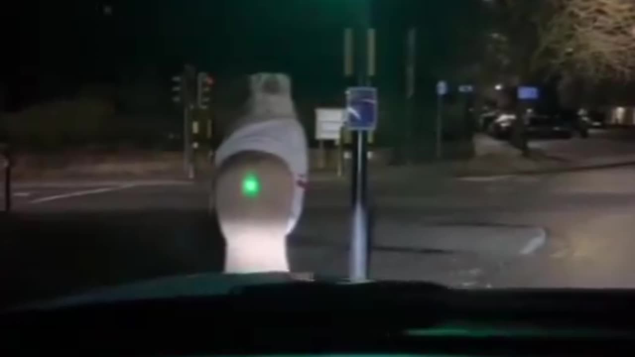 New Kind Of Stop Light