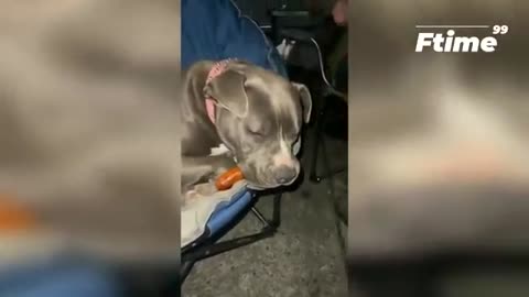 Very funny video