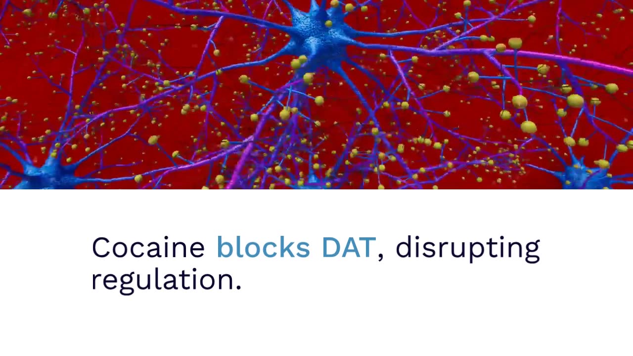 Scientists Uncover How Cocaine Tricks the Brain Into Feeling Good