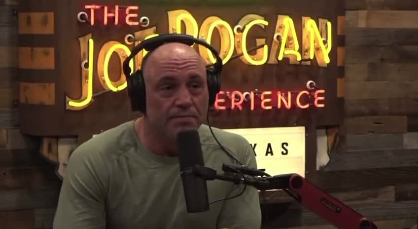 Joe Rogan and Gavin de Becker discuss the dangers of social media