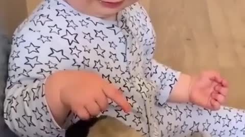 CUte baby with dogs ❤