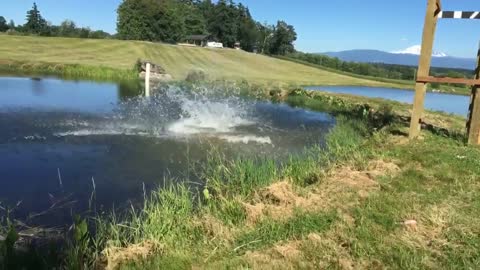 Kid front flip pond faceplant