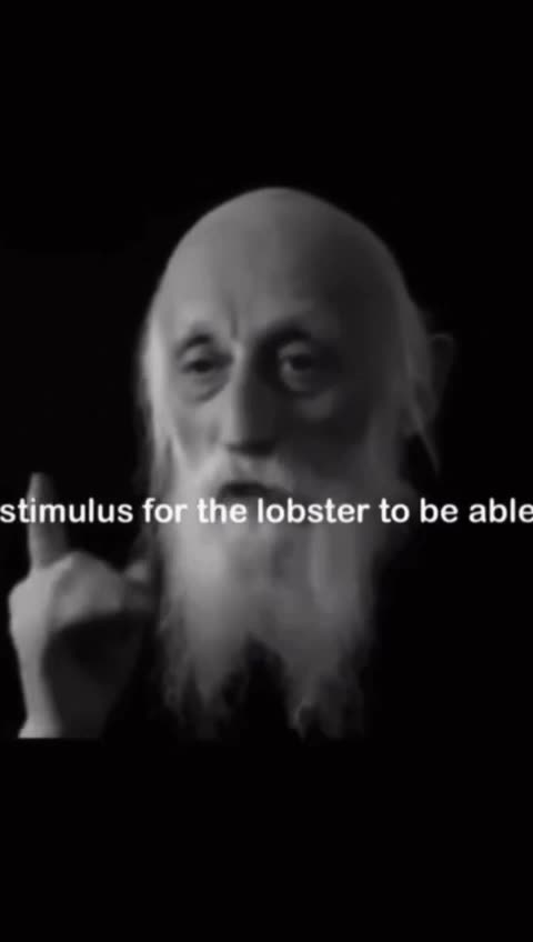 💥Truth Behind Your Growth💥