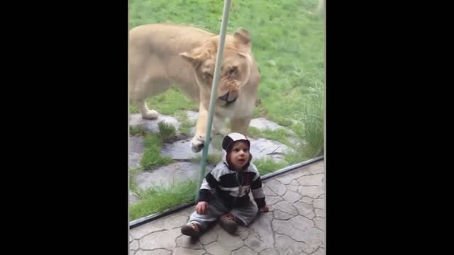 Kid Has No Idea Whats Behind Him..