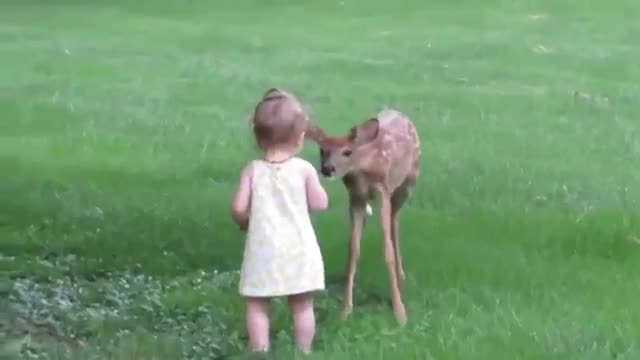 baby and nice fawn