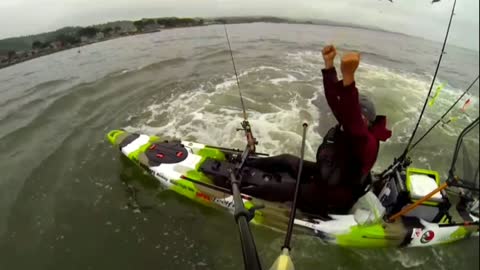 Kayaker and Humpback whales