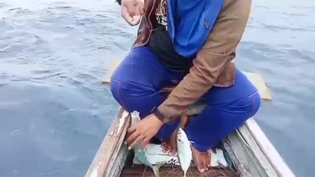 Amazing handline fishing02