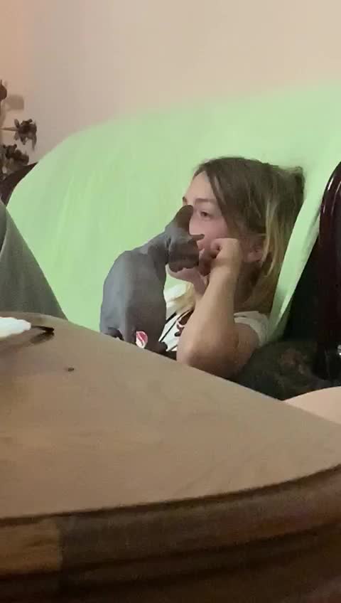 A girl plays with a playful kitten named Pattison