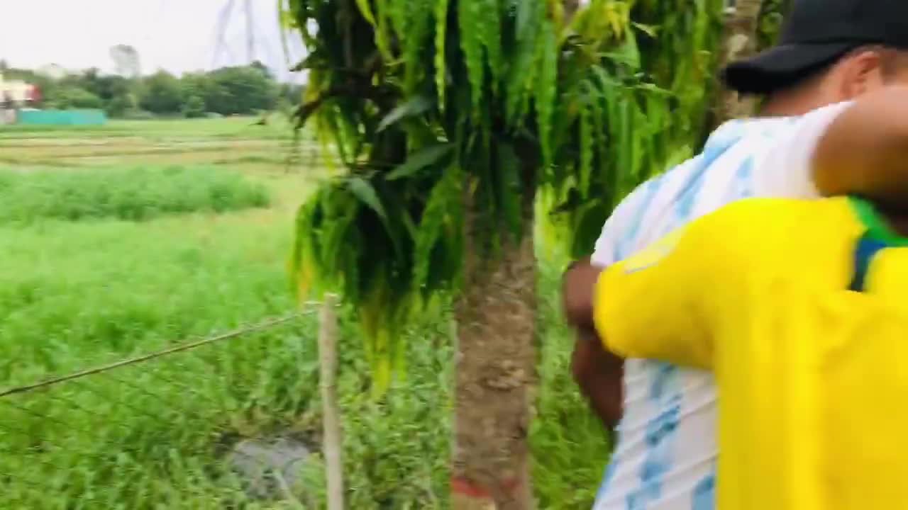 Brazil and Argentina supporters fighting