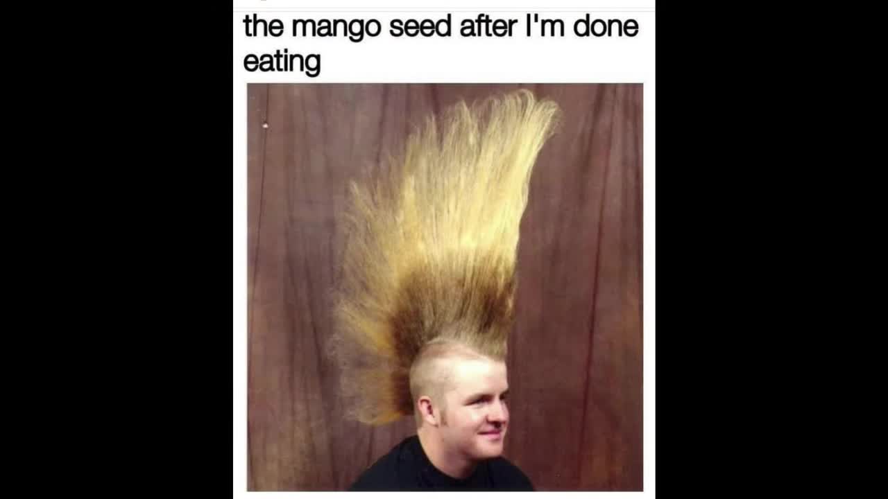 Funny Mango Meme's