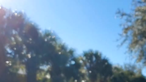 Monarch SlowMo