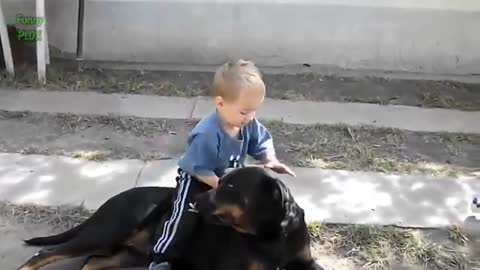 dog playing with cute babies