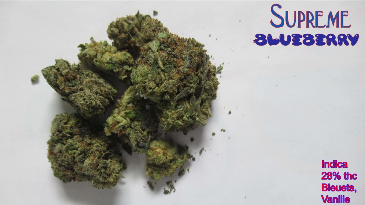 43 Supreme Blueberry