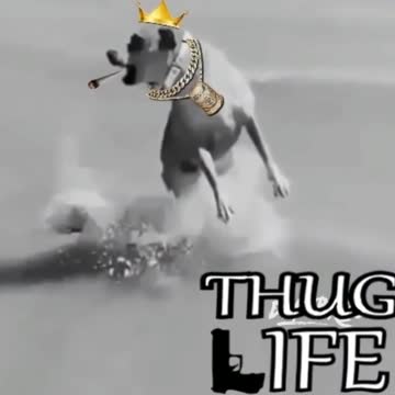 dog thug life