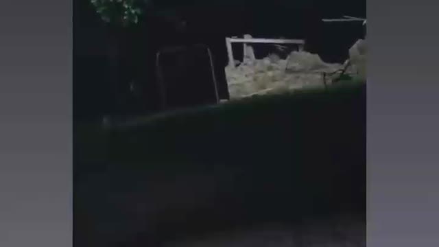 Funny video of | ............