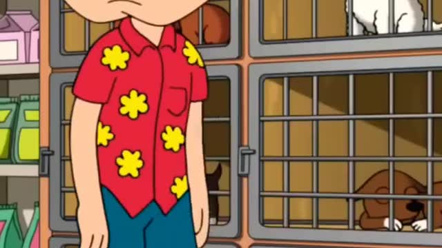 Family Guy _ Quagmire in love part - 3😂😂