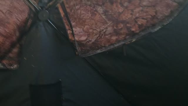 Quiet morn ok my hunting