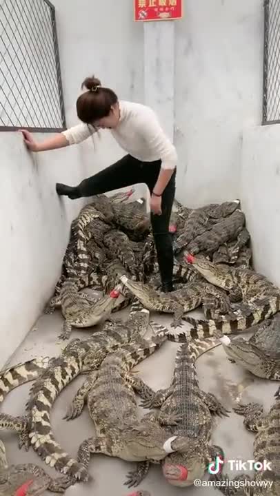 Wow Amazing Video ! This is my work , How do you think