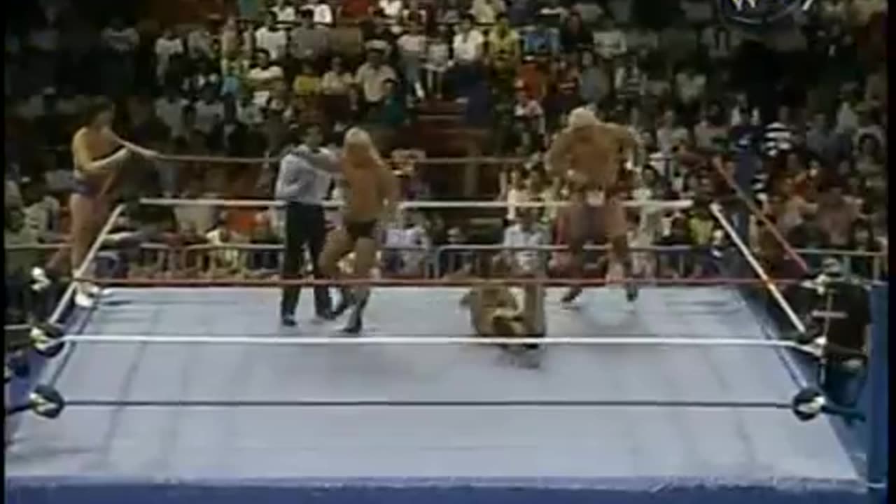 lanny poffo & sivi afi-july 11-1987 vs. new dream team