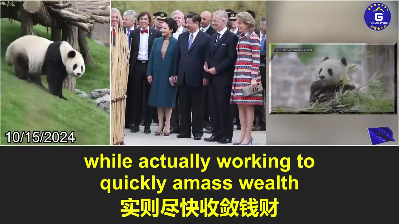 大熊猫重返华盛顿：中共重启熊猫外交意欲何为？