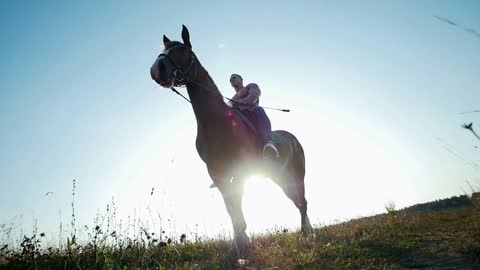 Strong muscular young man walking on horseback in a field amid the sun