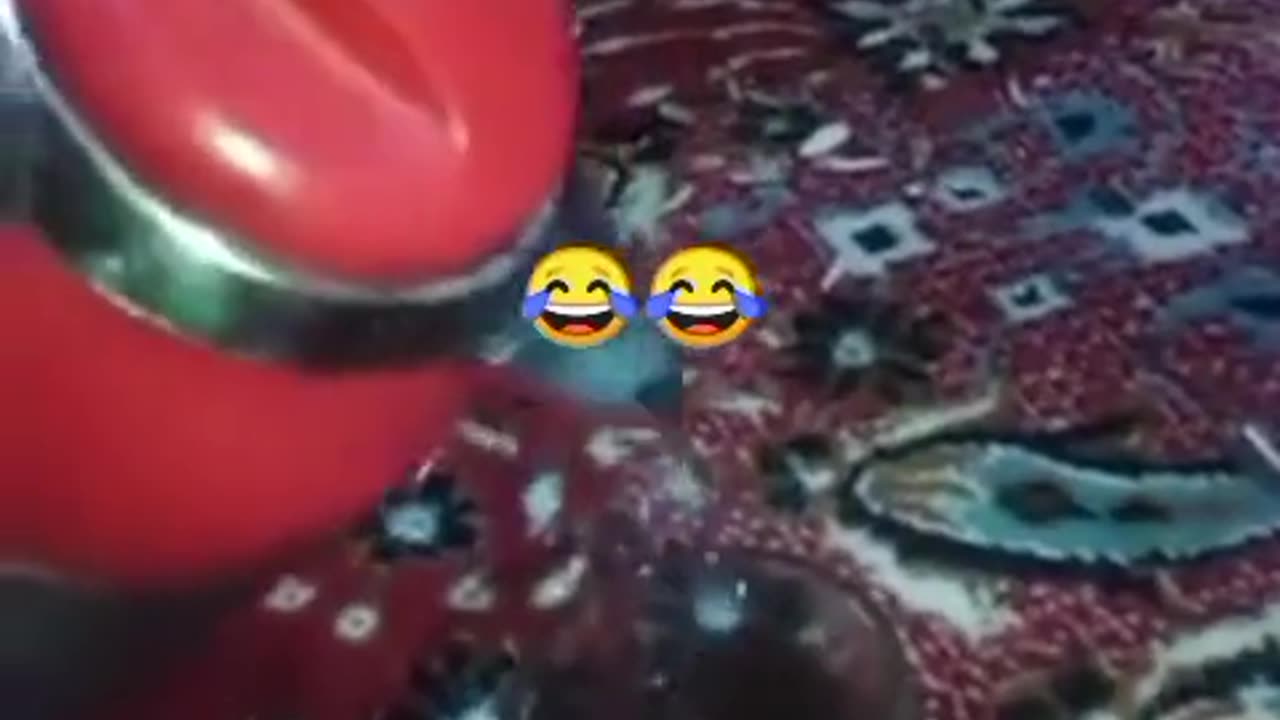 Comedy funny videos