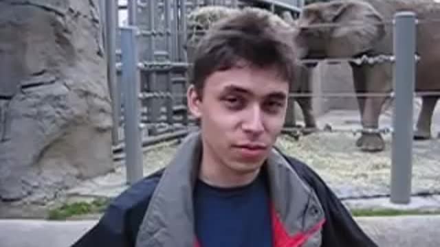 este video tiene millones de visitas en youtube puedes buscarlo como elefan to home