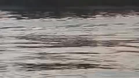fishing boat