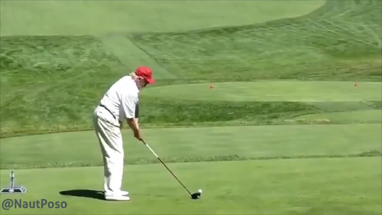 Trump Golf Meme