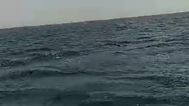Trip on the boat