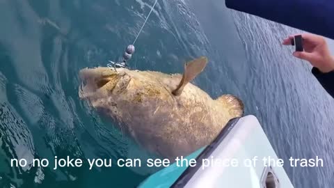 Sea fishing fishing position selection skills