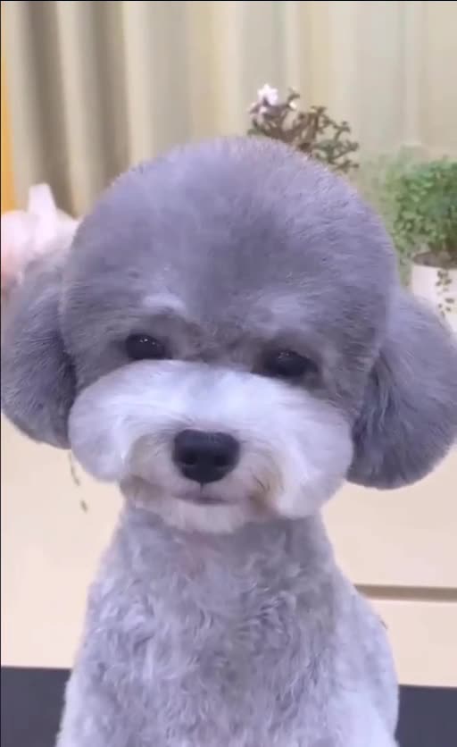 I clean up pretty good. Handsome 😊😍😱