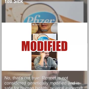 Fact Check: Pfizer's Rennet For Cheese Production Will NOT Make You Sick