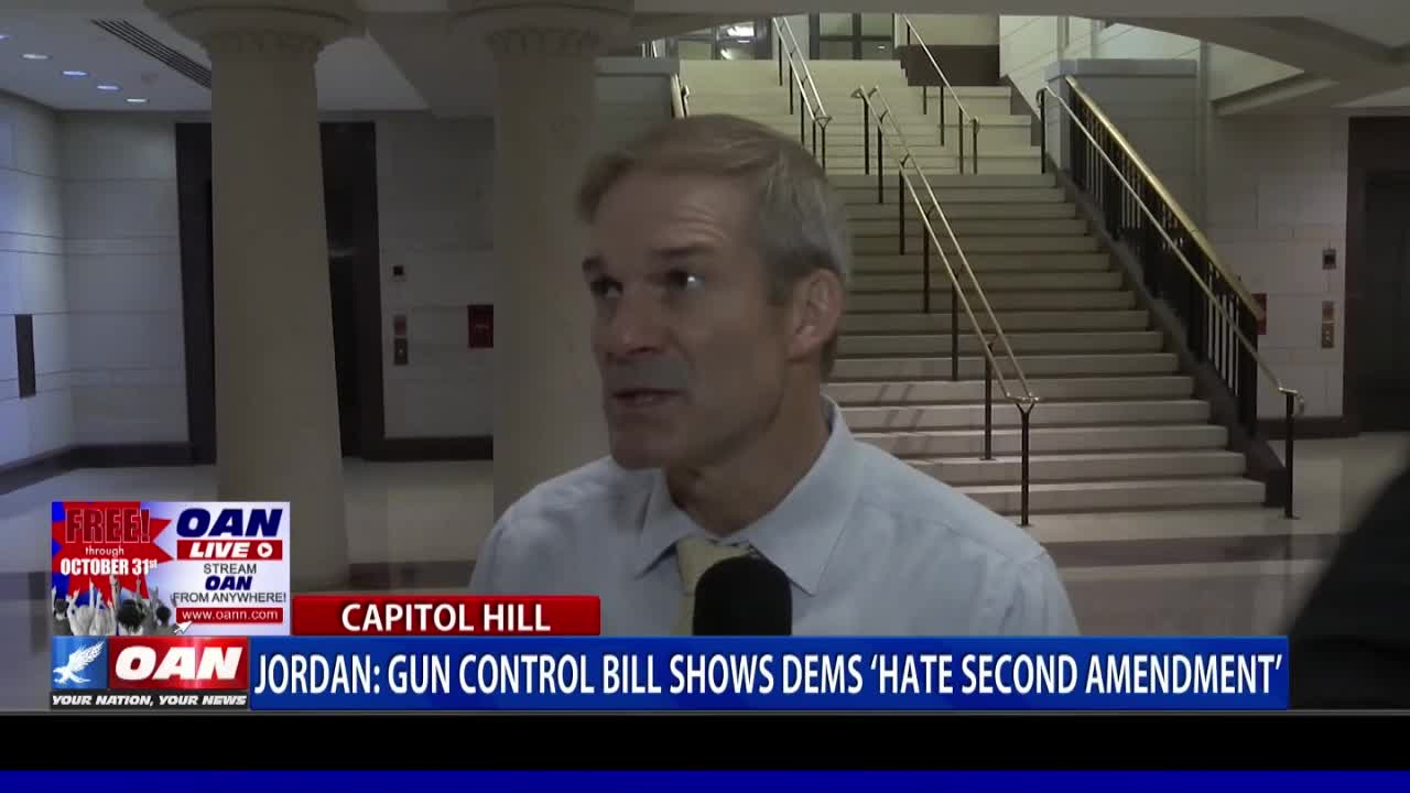 Rep. Jordan: Gun control bill shows Democrats 'hate Second Amendment'