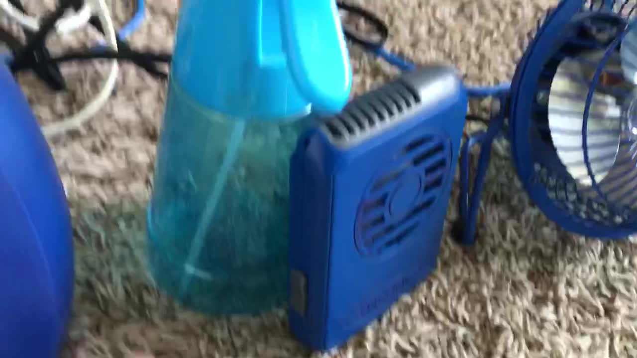Every blue fan in my collection.