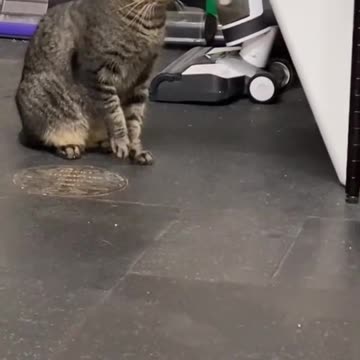 I love how she slowly reaches out 💀 she knows she ain't supposed to but she does it anyway 😭