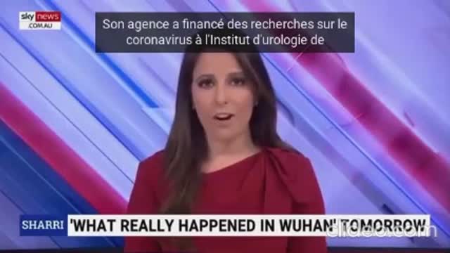 Sky News admet qu'Anthony FAUCI a bien financé plus de soixante projets à Wuhan