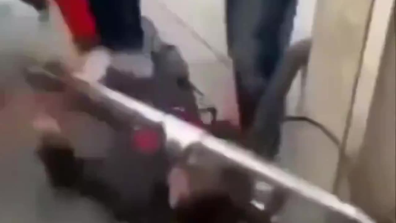 The usual suspects in Germany beat up a German boy and then run away like rats